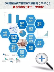 《中國保險資產管理業發展報告2019》 洞察資本管理新趨勢，引領行業高質量發展